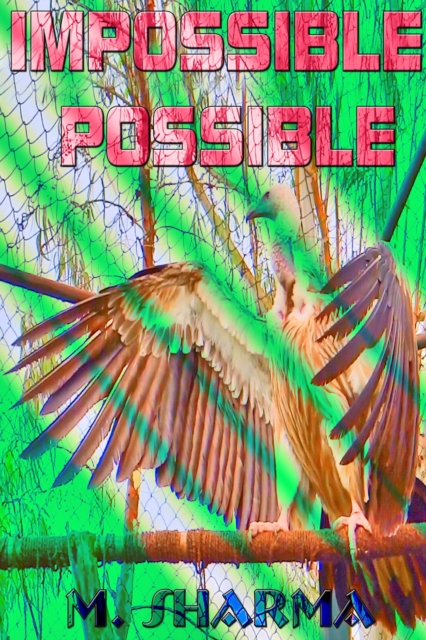 Impossible Possible