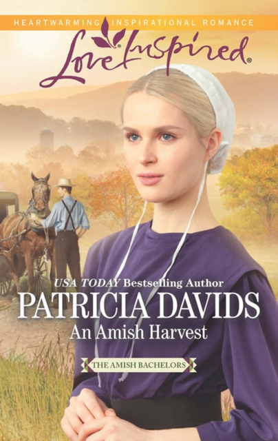 Amish Harvest