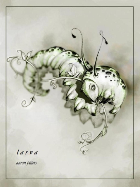 Monarch: Larva (Stage Two)