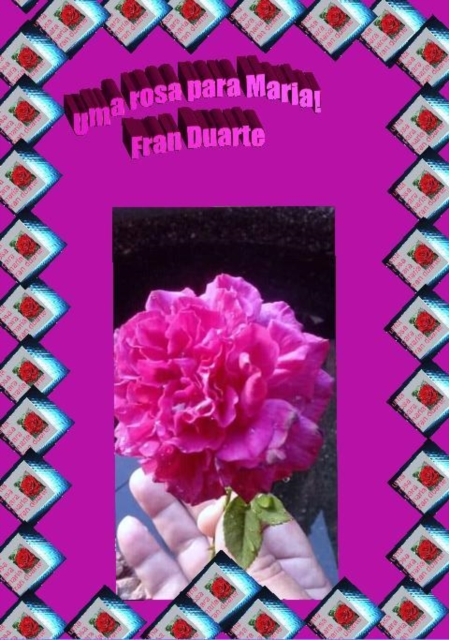 rosa para Maria