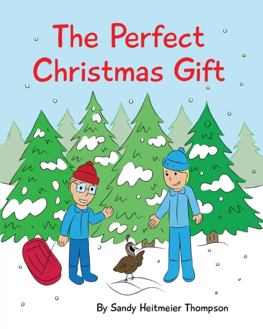 Perfect Christmas Gift