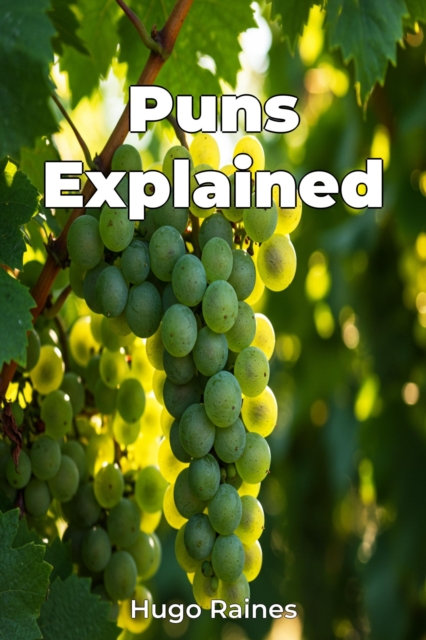 Puns Explained