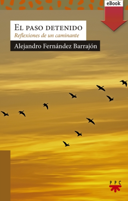 El paso detenido