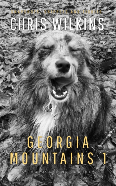 Georgia Mountains 1