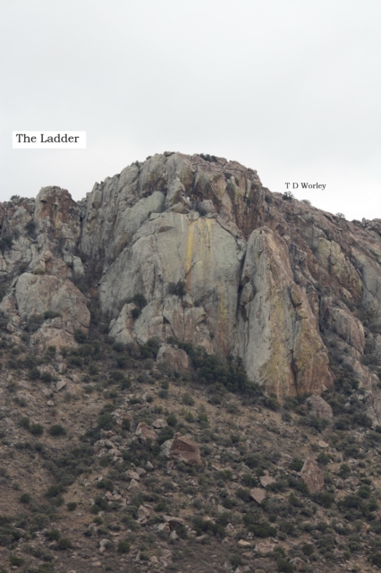 Ladder