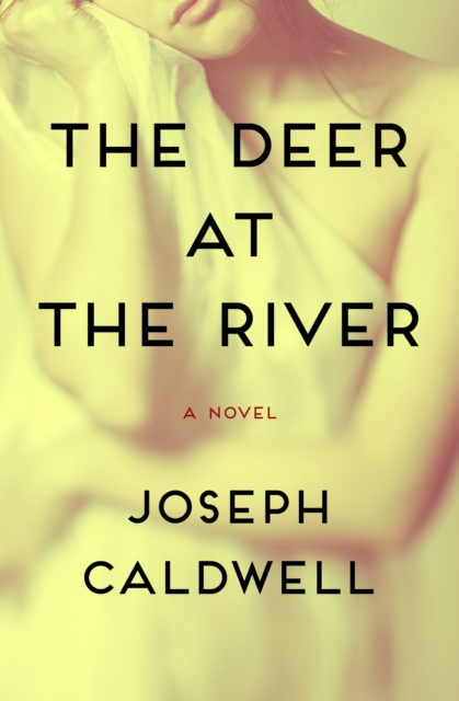 Deer at the River