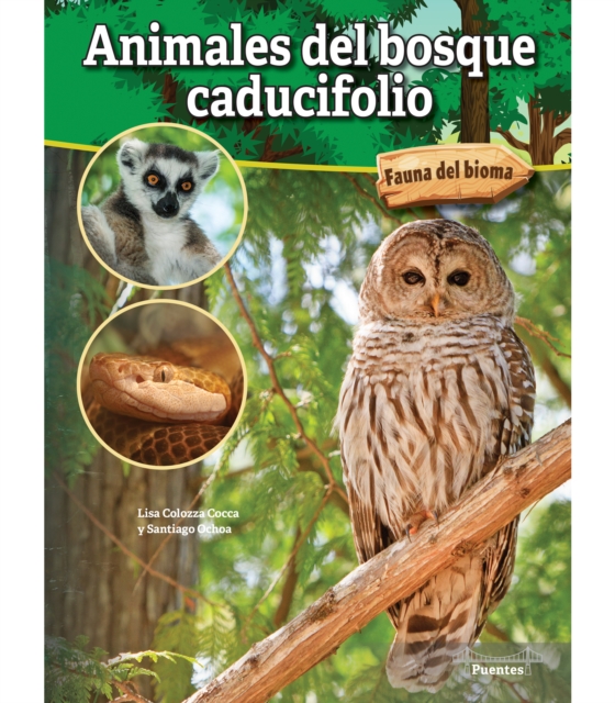 Animales del bosque caducifolio