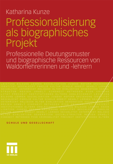 Professionalisierung als biographisches Projekt