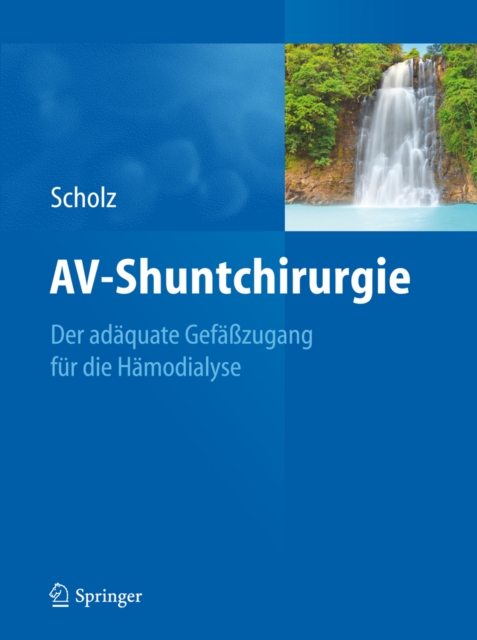 Abdominal Imaging: Computational and Clinical Applications