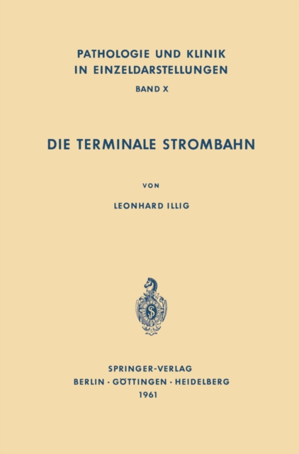 Die Terminale Strombahn