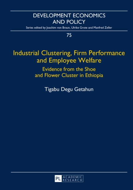 Industrial Clustering, Firm Performance and Employee Welfare