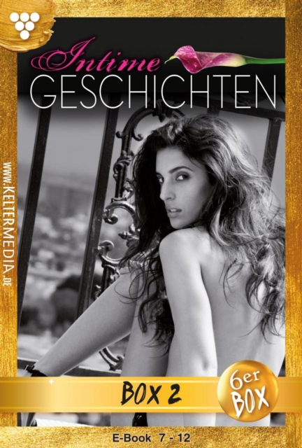 Intime Geschichten Jubiläumsbox 2 – Erotikroman