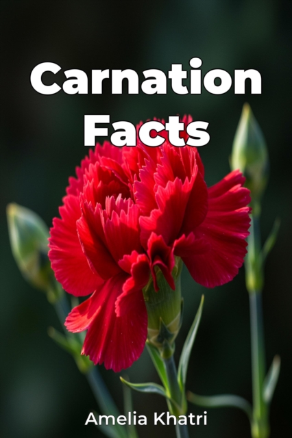 Carnation Facts