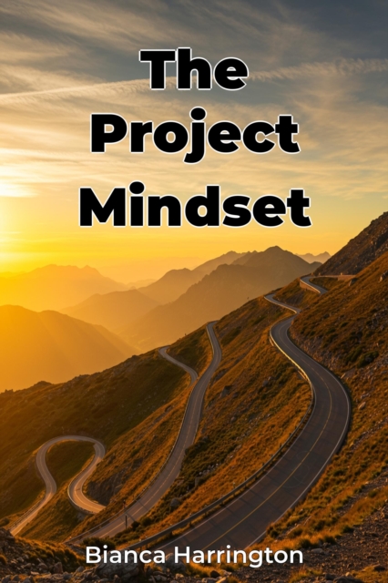 Project Mindset