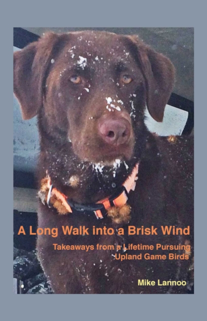 Long Walk into a Brisk Wind