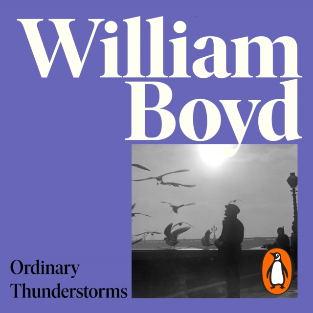 Ordinary Thunderstorms