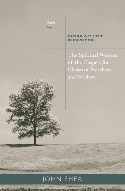 Spiritual Wisdom of Gospels for Christian Preachers and Teachers
