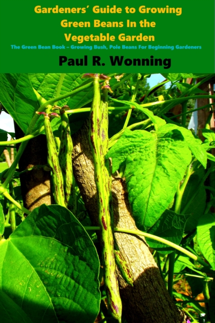 Gardeners Guide to Growing Green Beans