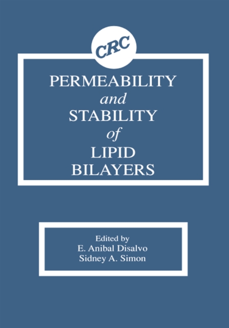 Permeability and Stability of Lipid Bilayers