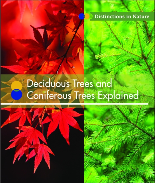 Deciduous Trees and Coniferous Trees Explained
