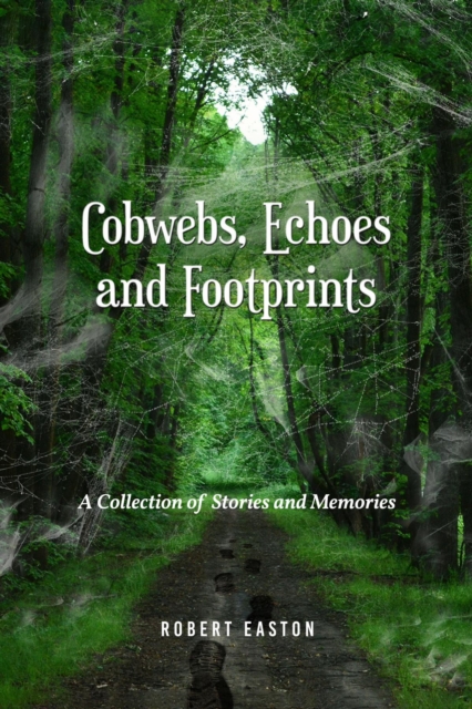 Cobwebs, Echoes and Footprints