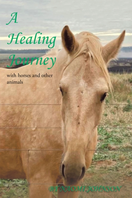 Healing Journey