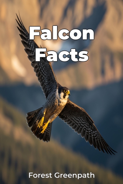 Falcon Facts