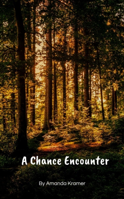 Chance Encounter