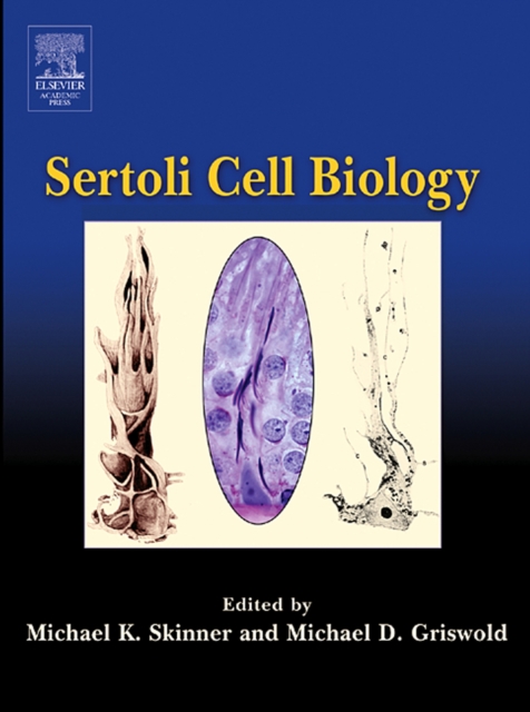 Sertoli Cell Biology