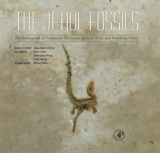 Jehol Fossils