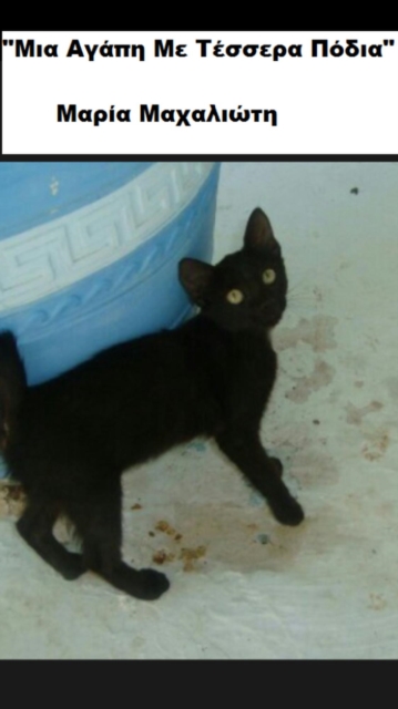 ??a ?yap? ?e ?esse?a ??d?a