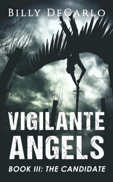 Vigilante Angels Book III: The Candidate