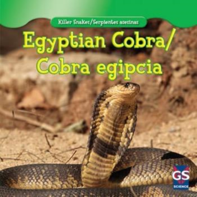 Egyptian Cobra / Cobra egipcia