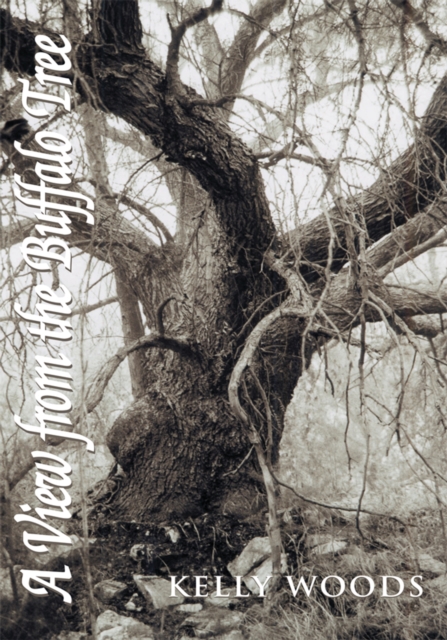 View from the Buffalo Tree