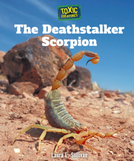 Deathstalker Scorpion