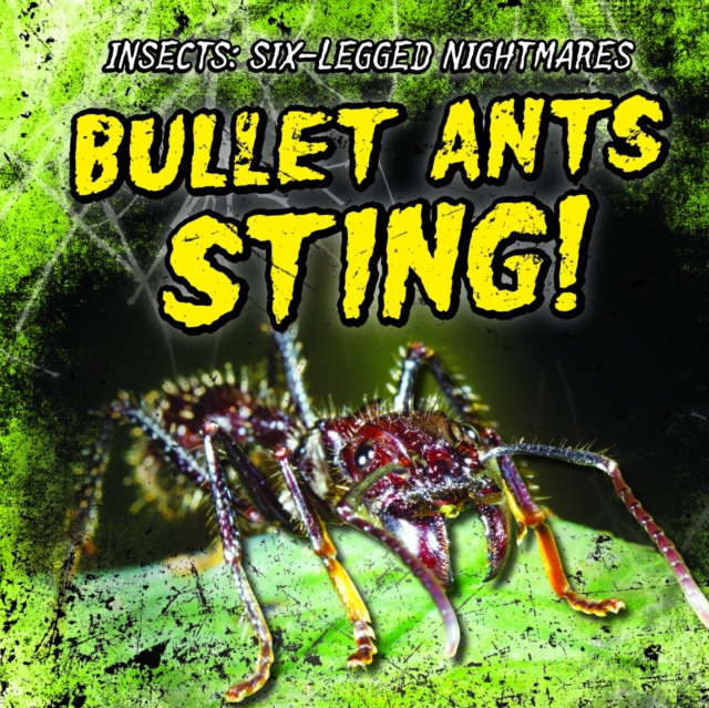 Bullet Ants Sting!