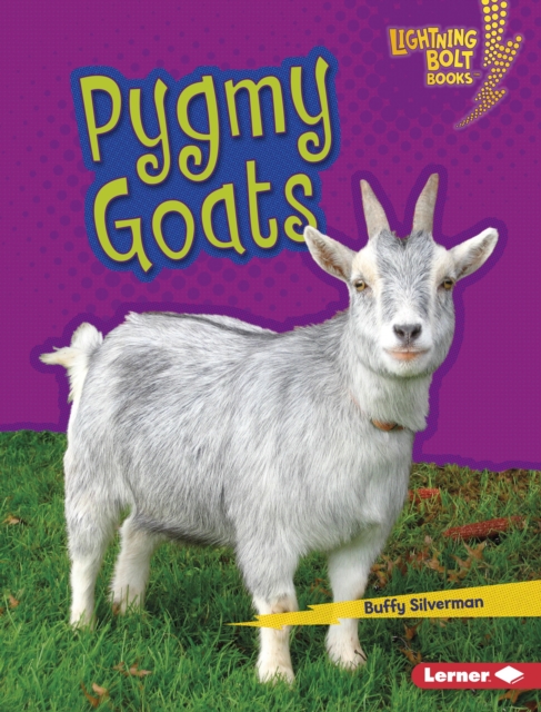 Craft-a-Day Book