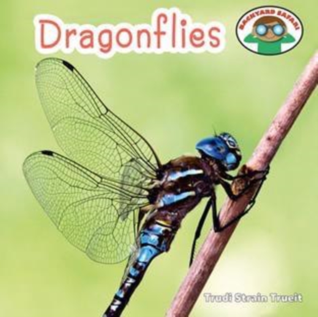 Dragonflies