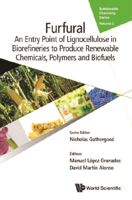 Functional Materials From Lignin: Methods And Advances