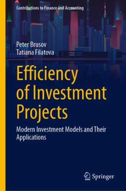 Efficiency of Investment Projects