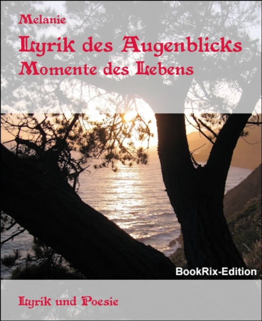 Lyrik des Augenblicks