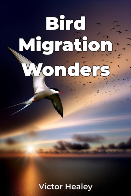 Bird Migration Wonders