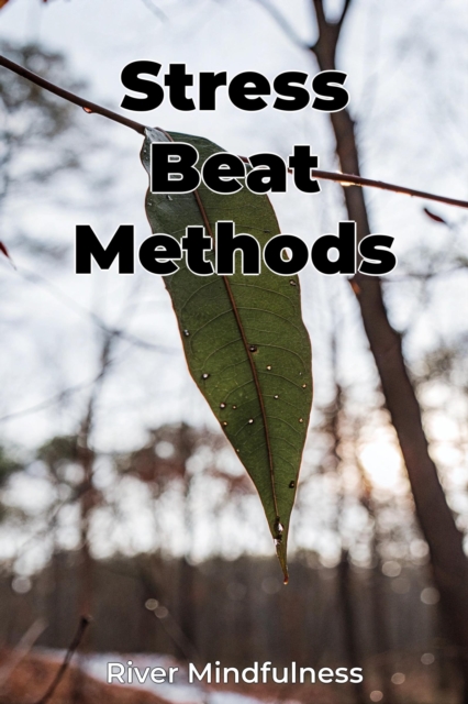 Stress Beat Methods