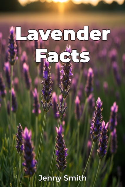 Lavender Facts