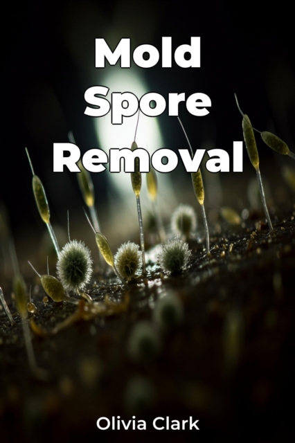 Mold Spore Removal