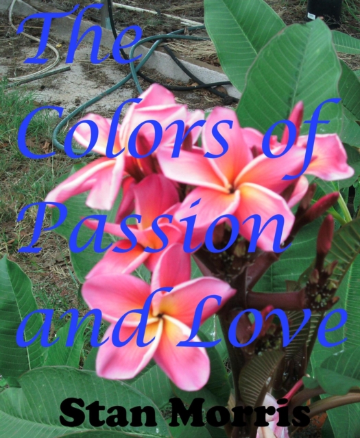 Colors of Passion and Love