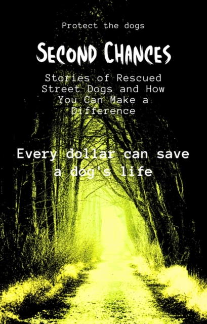 Second Chances