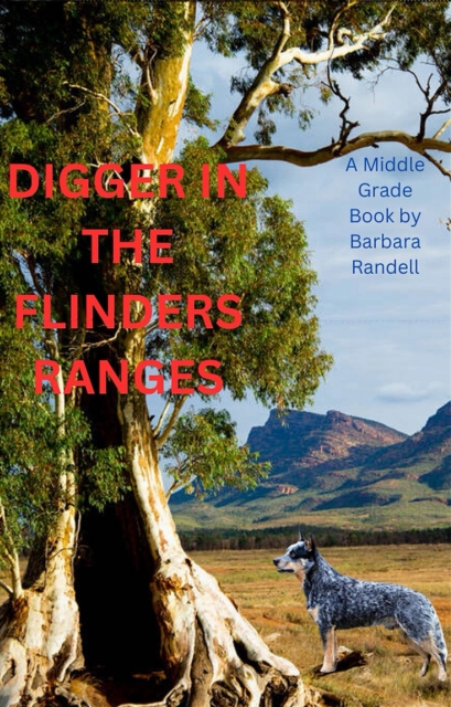 Digger in the Flinders Ranges