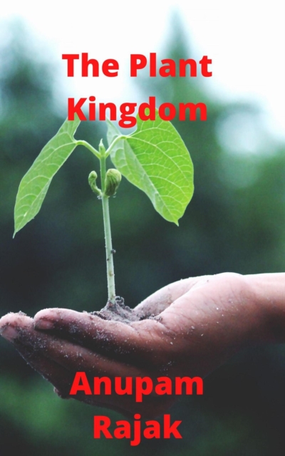 Plant Kingdom