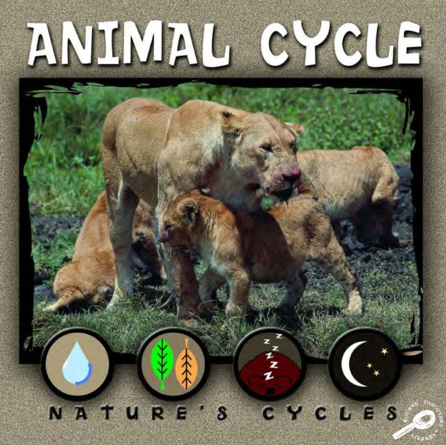 Animal Cycle